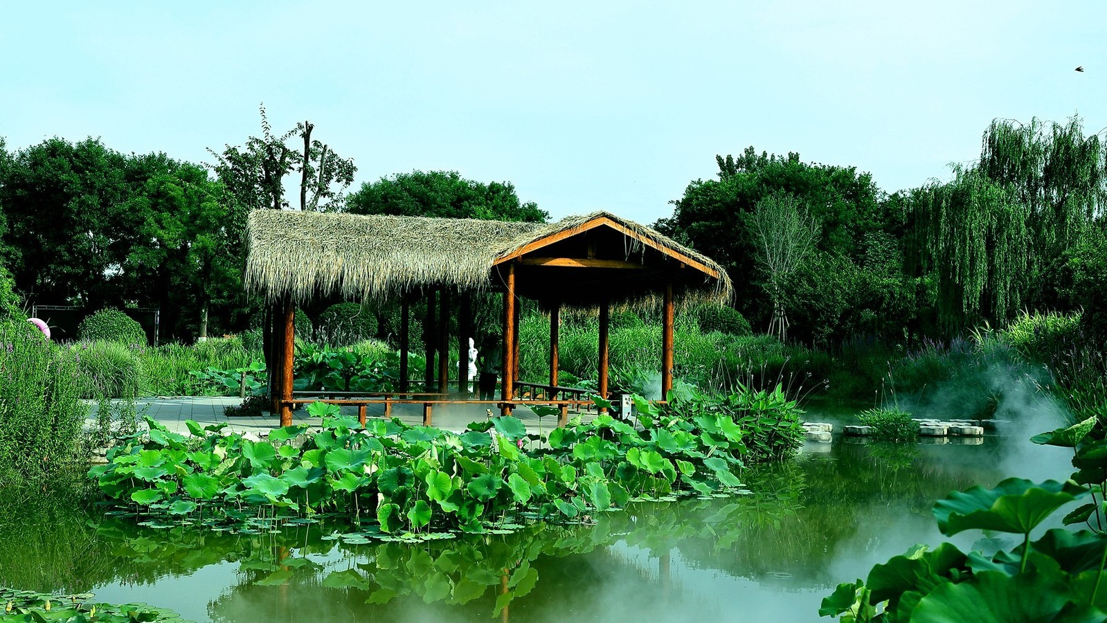 公園施工養(yǎng)護